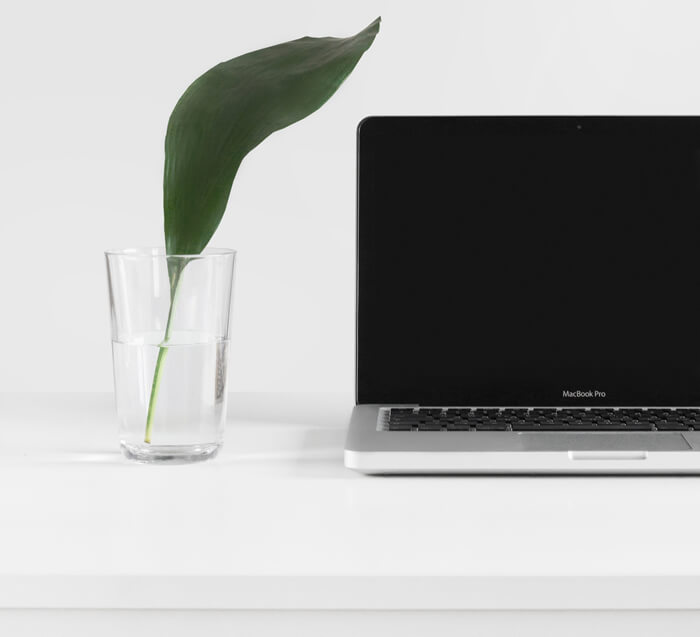 Single leaf in a glass of water next to a MacBook